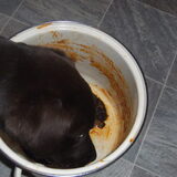 we mogen de spaghetti pan uitlekken, lekker! Ik wil hem niet delen…