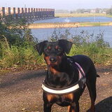 JayDee
