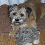 Sandy