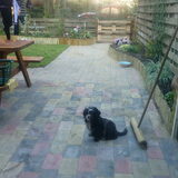 in de tuin