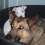 zoey en saartje lekker knus in de mand