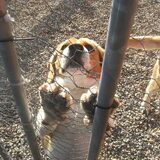 Wij willen ook naar dat bos, please!!! Neem je ons ook mee??