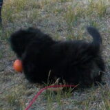 Foto van Joëlle <3 Sammie