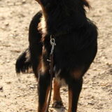 Foto van Joëlle <3 Sammie