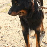 Foto van Joëlle <3 Sammie