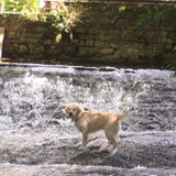 Vakantie Luxemburg 2011