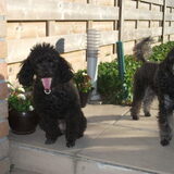 Foto van nancy, woopy en faith