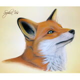 Pastel tekening vosje. Sophia Vos, Katwijk. Uniek portret van uw hond…