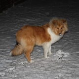 Haar 1ste sneeuw