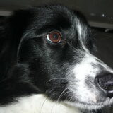 mijne 1jarige jong!!=)