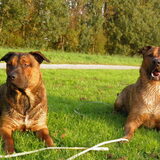 Foto van patricia,  *Spikey* Nino & Lola