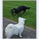 alle foto's 2009...tijdens wandelingen