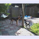 soes met een Indian Dog (am.kruis)