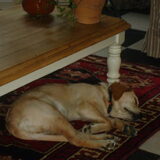 een korte time out .........