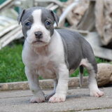 Kitana 33 dagen