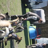 met Bella in lead... op naar de start. Zena links achter in wheel…