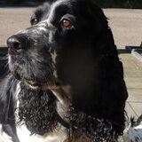 dit is Kayleigh een geweldige lieverd