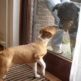 Foto van Daphne & Bailey