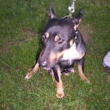 Foto van Angel en Gino