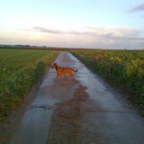 Wet wet wet :-) Oktober 2011