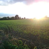 Het stipje links van de zon is Kylie die naar de zonsondergang liep :-)…