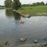 Foto van celine