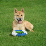 fotomodel Kenai! :)