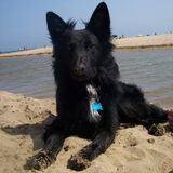 lekker op het strand
