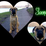 james
