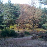Foto van Chavera