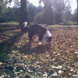 Lekkere zonnige herfstdag