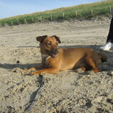 genieten op het strand