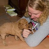 Zo in Love