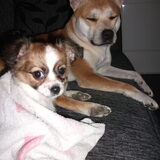 Zo even samen op de foto:D