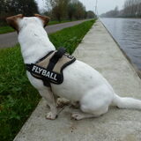 Nog even lekker zitten, voordat we weer op de step naar huis gaan..