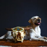 Foto van sofie, Lucky en Zita <3