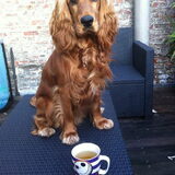 Clovis ( 11maand) is inderdaad gigantisch ja :) ' camille thee lust ik…