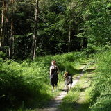Middagje in de bossen van Duitsland