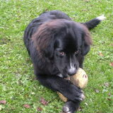 Foto van tessa