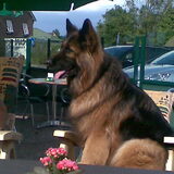 Kira zit ook mooi op de stoel o het terras:)
