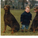 Foto van mijn 2 honden en mijn oudste zoon die hier 14 maanden is en nu…