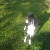 woody geeft licht overdag =)