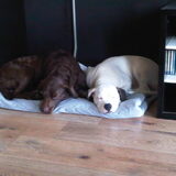 Samen op het kleed