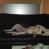 languit op de bank