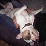 Grote Baby haha