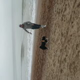 woody en ik aan de zee!