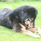 Foto van http://www.do-khyi-jinadhara.be