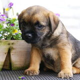 Ahw, Jessy een paar weekjes oud