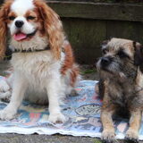 Jessy en Bobby(overleden juli 2011)