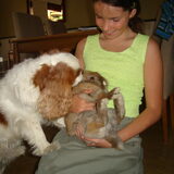 Bobby met Siepie 2008